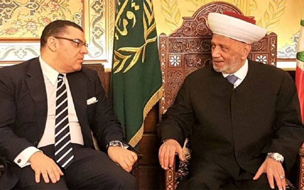 سفير مصر الـجديد يــــزور دريـــان وجنبلاط