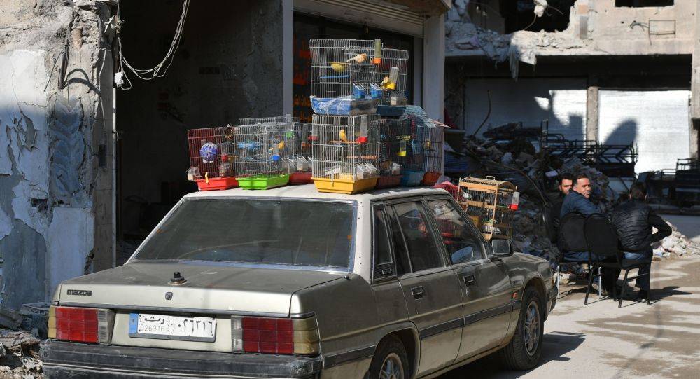 القبض على عصابة تهرب السيارات والأموال بين سوريا ولبنان والأردن