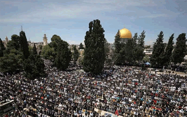 فلسطين : ضم أراضٍ من الضفة الغربية جريمة حرب