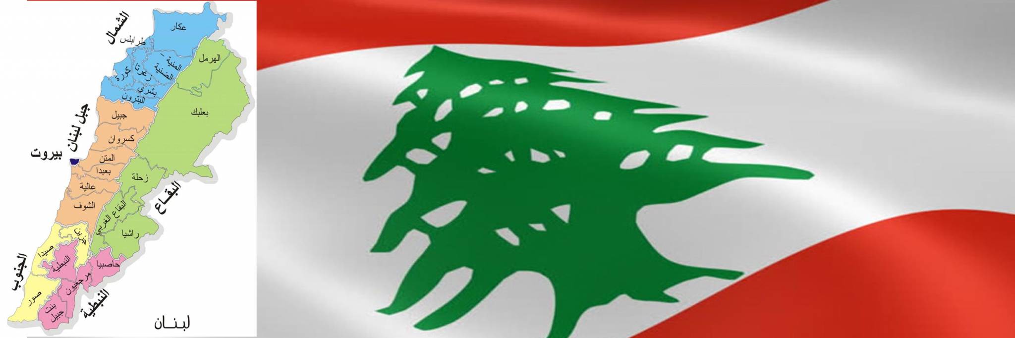 غياب باسيل عن الحكومة ابعد المعلومات عن قصر بعبدا