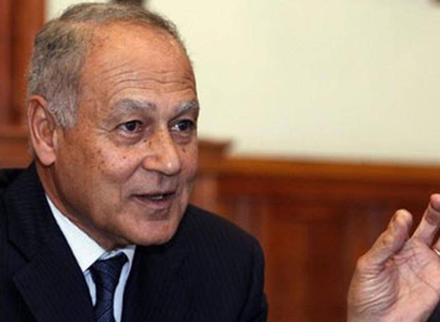 محمد أبـــو الـغيـــط : إرتــحـنــا مــــن وزيــــر خـــارجــيّــة عربـــي