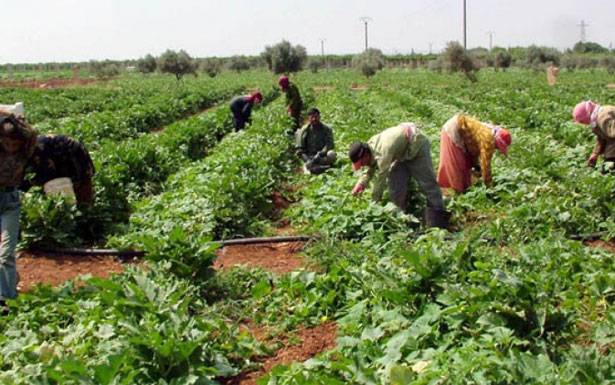 النقابات الزراعيّة وتجّار البطاطا : الصورة توضحّت ولن نشـارك في قطع الطرقات