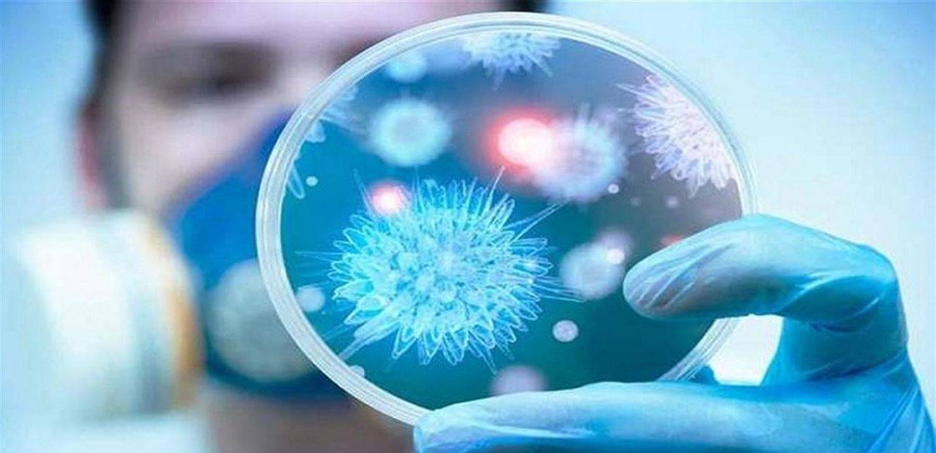 شركات الضمان: مستعدون لتحمل مسؤولياتنا مع الحفاظ على استمراريتنا