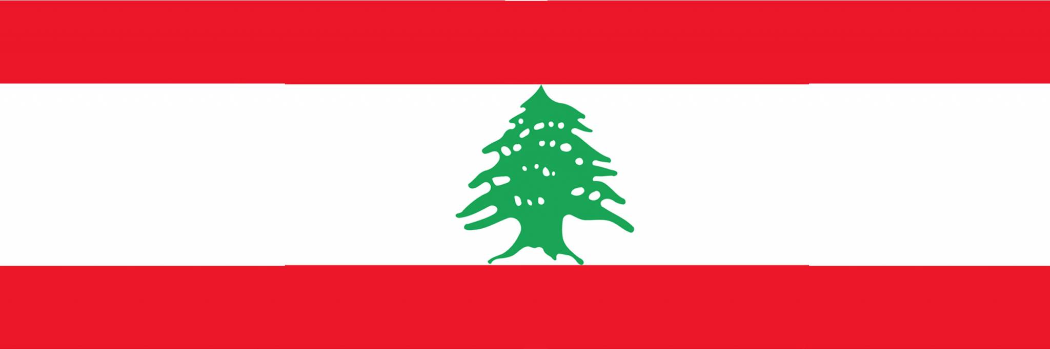 الدولار تجاوز الـ3000 ليرة ومطلوب حالة طوارئ مالية لأن الأمن الوطني والسلم الاهلي مهددان
كيف يستطيع اللبناني تحمّل سعر الدولار 3000 ليرة و90000 مصروف من عمله والاقتصاد يسقط أمام اغلاق الكورونا
لا إصلاحات وضياع فرصة مؤتمر «ارز ــ1» والتفاوض مع صندوق النقد الدولي