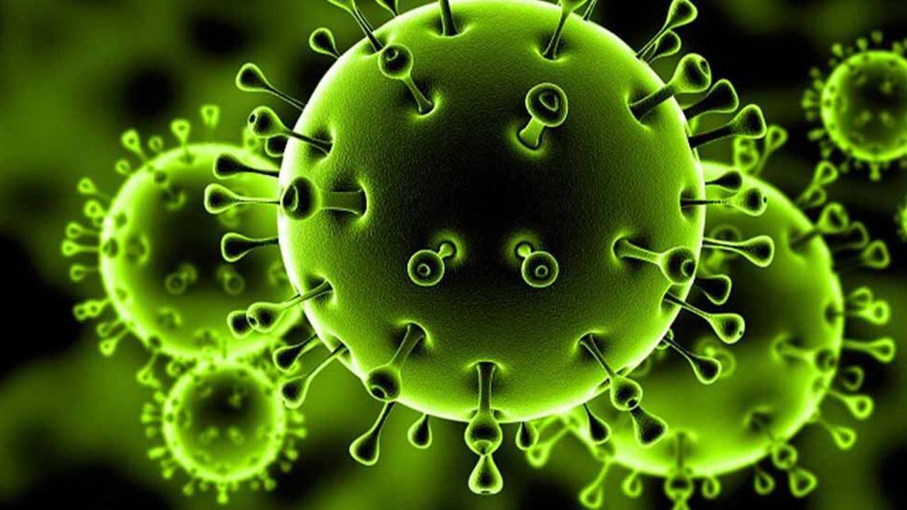 «كورونا»: 13 اصابة بينها 11 اصابة من المقيمين و2 من بين الوافدين فحوصات PCR في أقضية عاليه والمتن.. و4عيادات نقّالة في زحلة