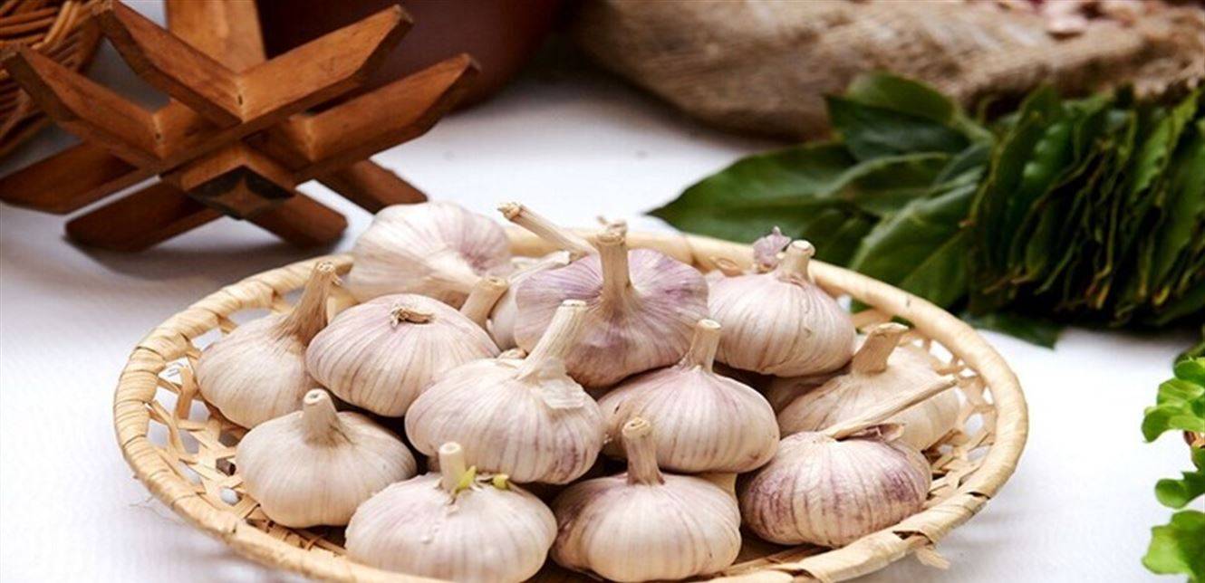 ماذا يحدث للجسم عند تناول الثوم دائما؟