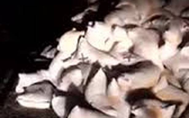 افرغوا شاحنة طحين تبيّن انها عائدة لاحد الافران في القاع