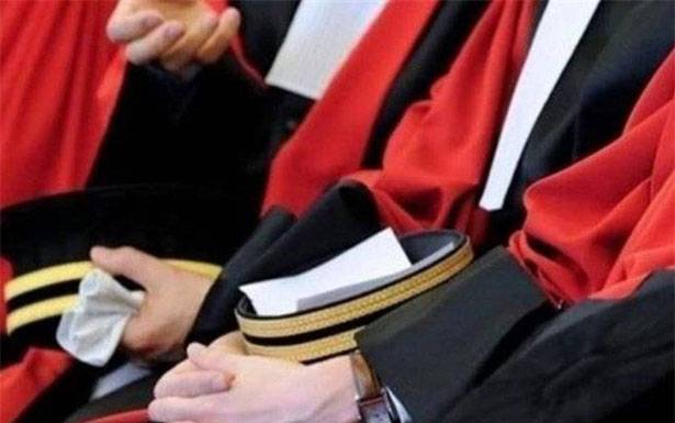 القضاة والمحامون مواقف وطرائف