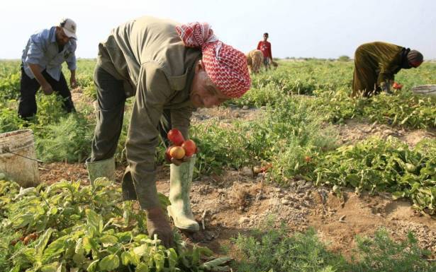 تناغم ثـلاثي بيـن العهد و«الثنائي الشيعي» والحكومة يُحفز البحث عن الحلول تواصل إيجابي بيـن بـري وباسيل .. ونتائج فوريّة لمبادرة نصرالله الزراعية !!
