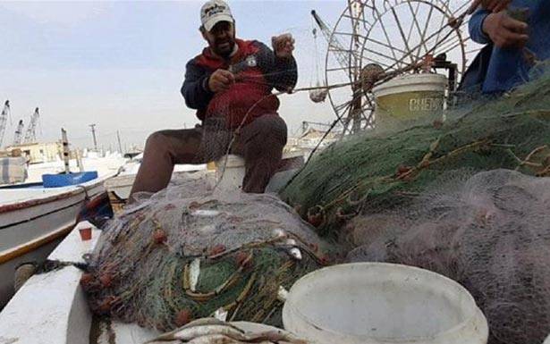 نقيب صيادي الاسماك في صيدا : لمراقبة الصيد البحري وضبط المخالفين