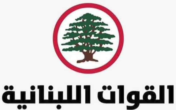 هذه هي خارطة طريق «القوات» للإستحقاق الحكومي المقبل