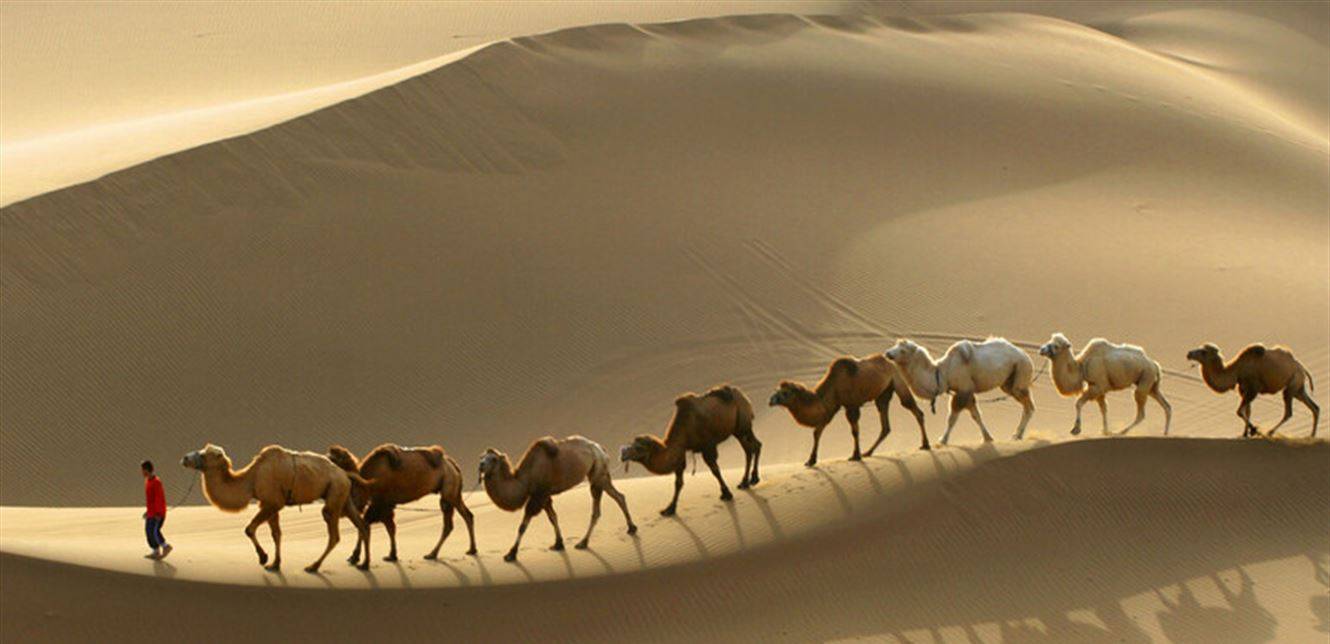 أغنى رجل في التاريخ... عاش في أفقر بقاع الأرض!