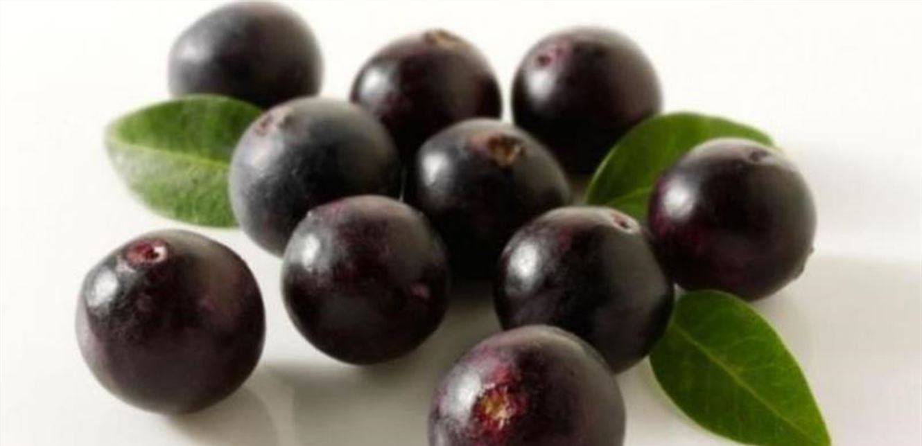 فاكهة نخل الآساي.. لعلاج كورونا؟!