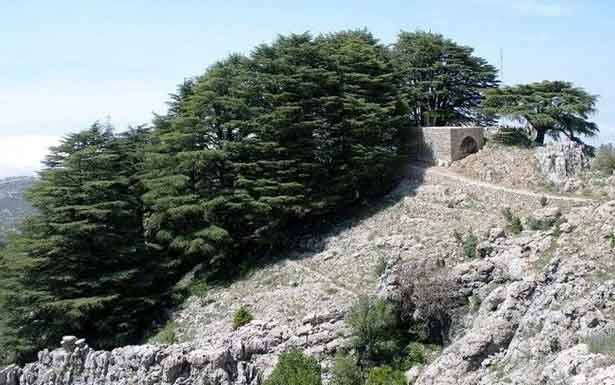جاج على الخارطة السياحية