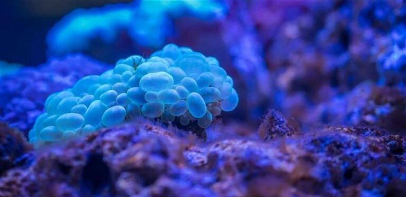 دراسة تحذر.. طول أصابعك يدل على خطر الإصابة بسرطان البروستات!
