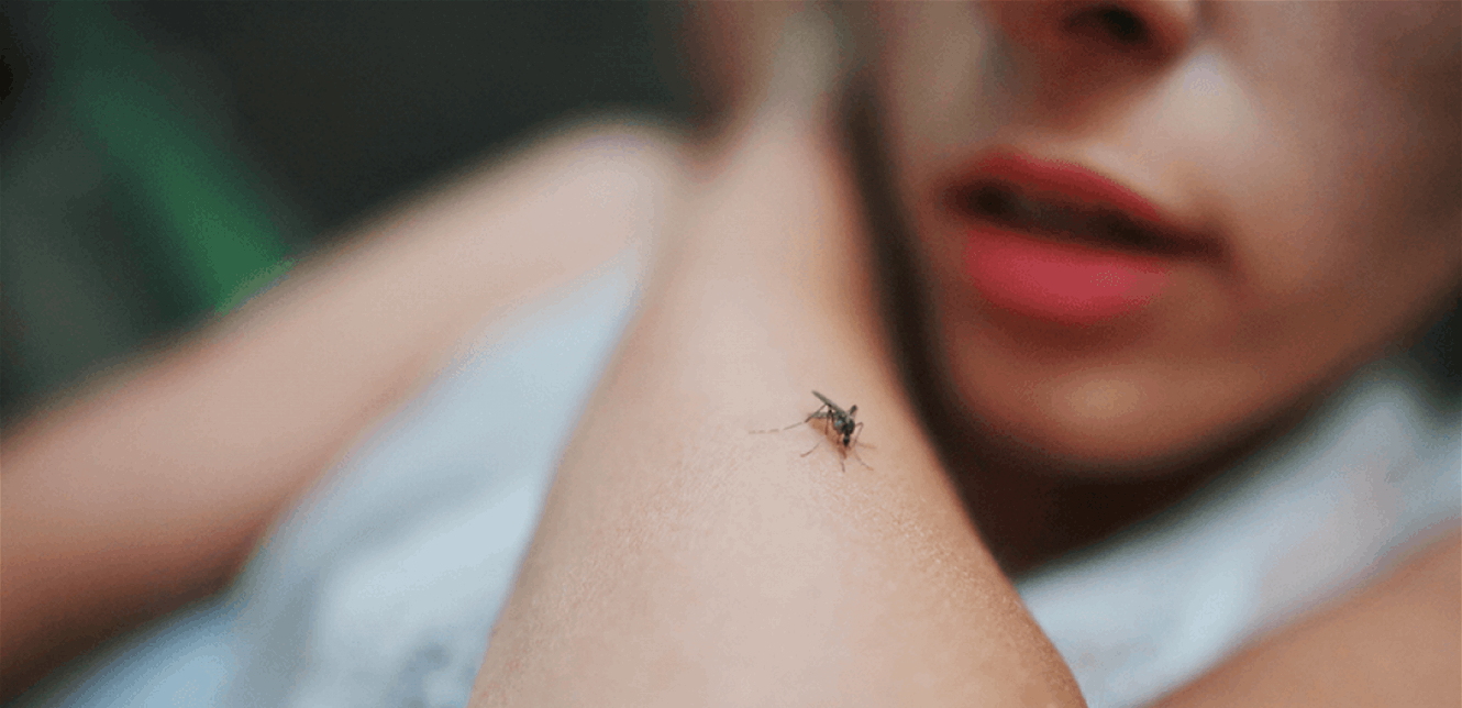 هذا الزيت الأساسي ينهي مشكلتكم مع لسعات البرغش