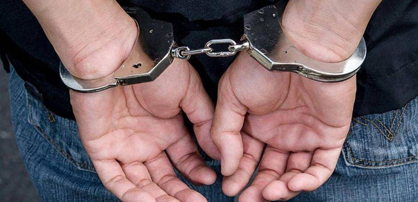 توقيف لبناني يحمل الجنسية الدنماركية!