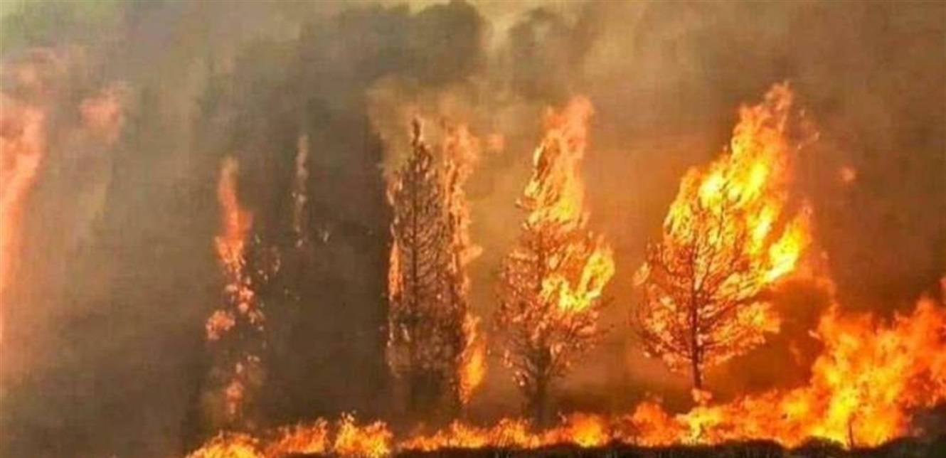 بعد الحرائق... بلدية فنيدق تدعو إلى 