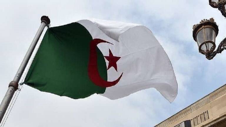 الجزائر تبدأ شراء قمح الطحين