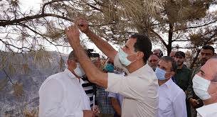 الأسد يزف بشرى سارة لمتضرري الحرائق