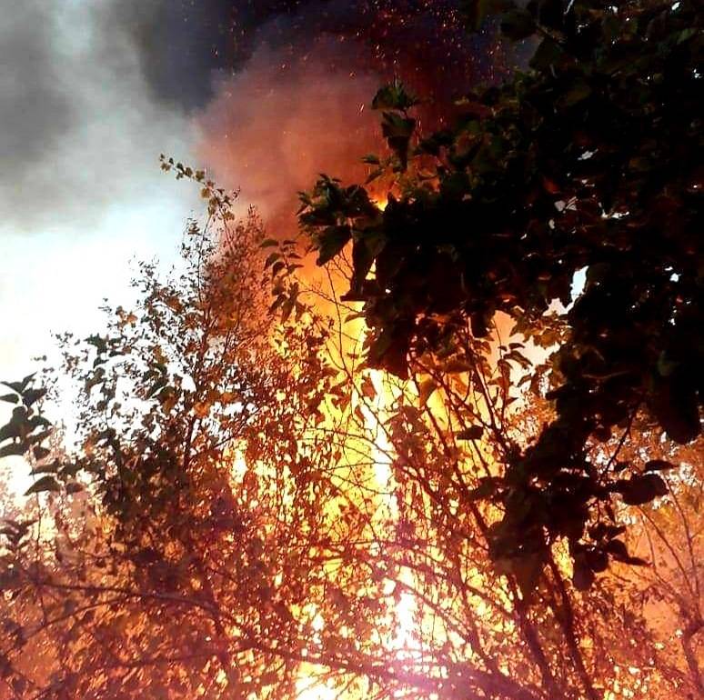 الدكاش ناشد قيادة الجيش التدخل لاخماد حريق عين الدلبة