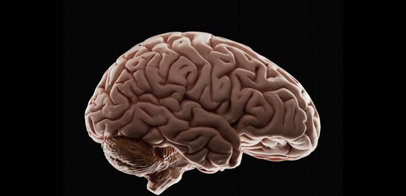 دراسة مخيفة حول كورونا.. هذا ما يفعله الفيروس بالدماغ!