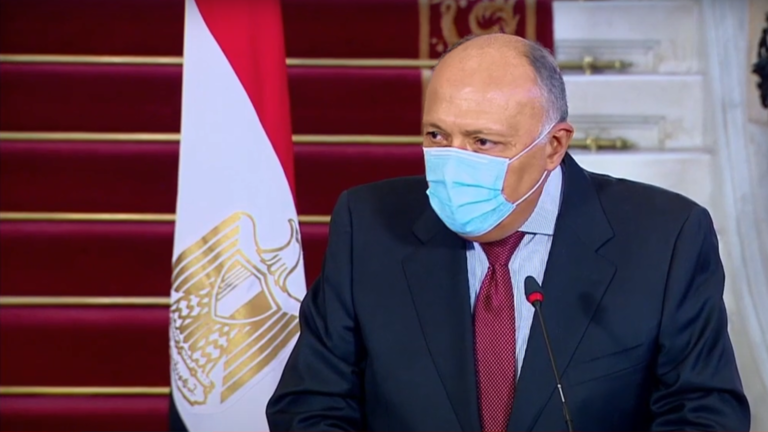 شكري: نتمنى أن تكون إدارة بايدن شريكا فعالا لمصر في مواجهة تحديات المنطقة