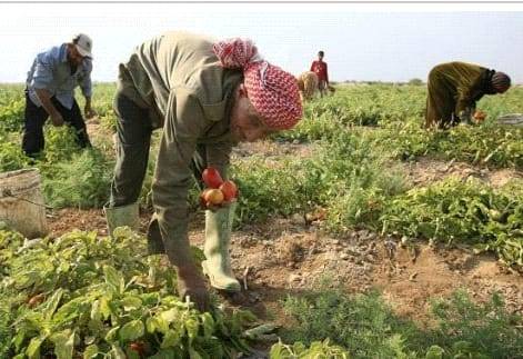 رئيس جمعية المزارعين:  لإلغاء منع سير الشاحنات ايام الآحاد لتسهيل ايصال المنتجات الزراعية الى الاسواق