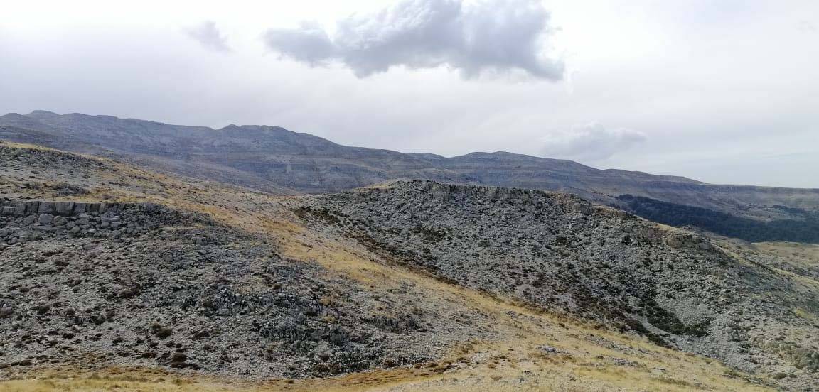 ماذا يحصل فـي «مشاعات» «السواقي» و«بشـناتا» بـيـن زغرتا والـضنية ؟