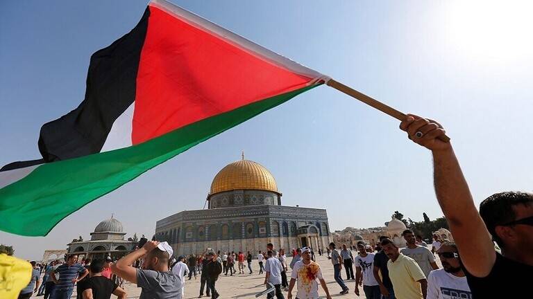 السعودية ومصر في بيان مشترك: فلسطين هي القضية المركزية للأمة العربية