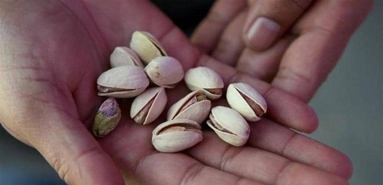 لحماية الكبد.. 7 أطعمة احرص على تناولها