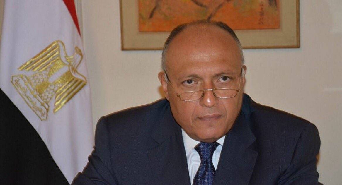 وزير الخارجية المصري: ما يُثار ضدّ مصر من مغالطات يحتاج ردودا مهنية مبنية على حقائق