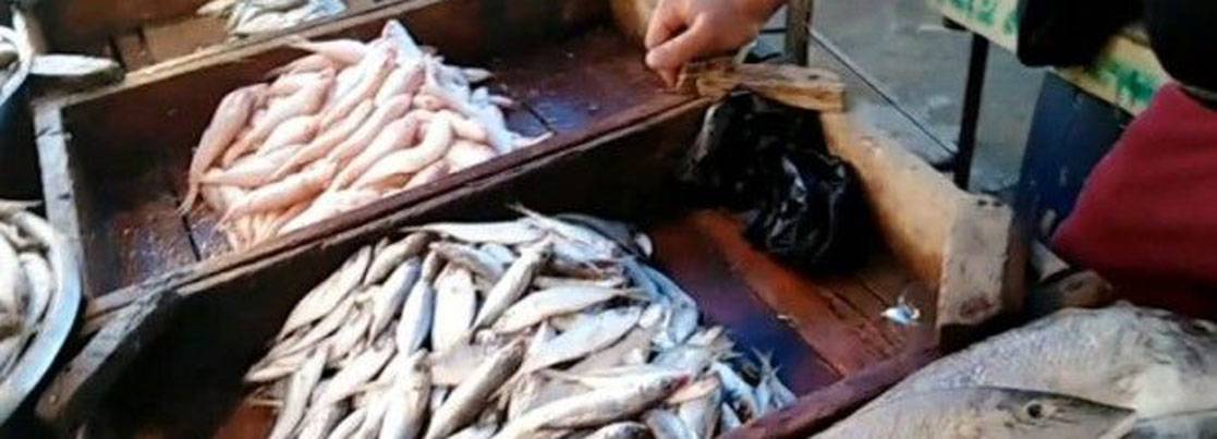 حركة بــيــــع خجولة في سوق السمــك بصيدا والمطالبة بشمول الصيادين بالمساعدات