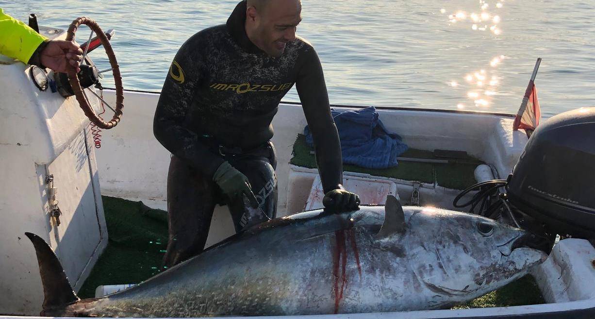 إصطياد سمكة تونا  “ذات الزعنفة الزرقاء” 95 كيلو غراماً مقابل شاطئ بيروت