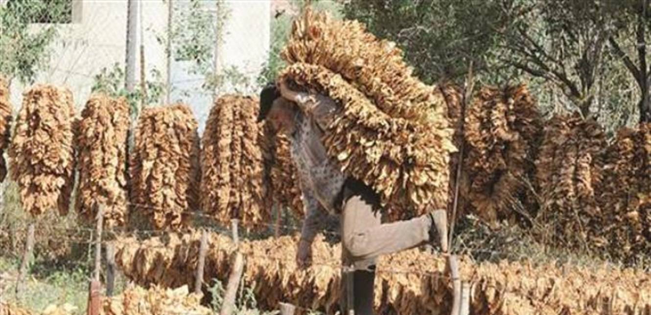 بعد عدم تجاوب بعض رؤساء البيع مع مناشداتها... بيان هام لإدارة حصر التبغ والتنباك حول الأسعار