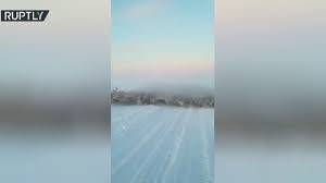 قطيع كبير من الغزلان يفاجئ سائقا.. فماذا حدث؟