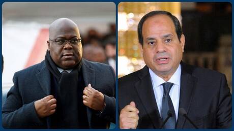 السيسي وتشيسيكيدي يبحثان مستجدات قضية "سد النهضة" الإثيوبي