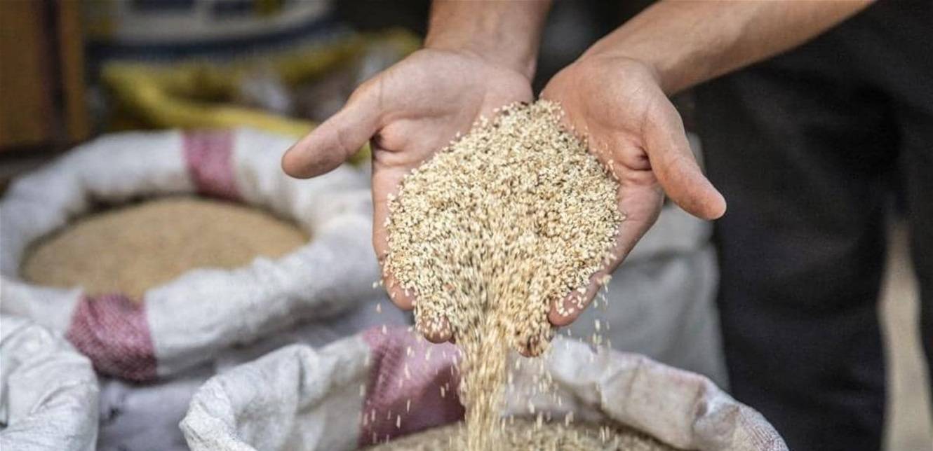 دراسة تكشف فائدة عظيمة للسمسم: قد يحمي من مرض عصبي خطير