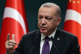 أردوغان: إقامة نظام سياسي قادر على تمثيل جميع السوريين ضروري لإحلال السلام