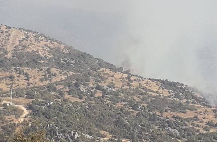 مدفعية العدو تقصف الأحراج الداخلية لمزارع شبعا