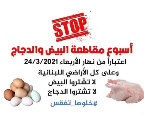 كيف ردّ رئيس نقابة الدواجن على حملة مقاطعة شراء البيض؟