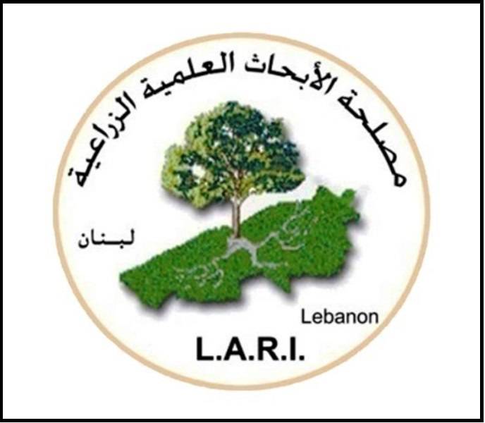 الأبحاث الزراعية تحذر من موجة صقيع