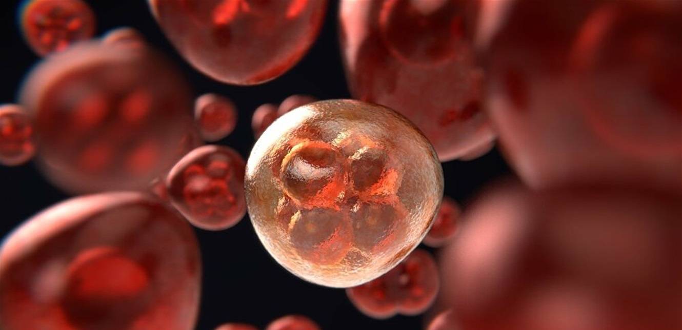 طرق للتقليل من خطر الإصابة بالسرطان..طبقوها!