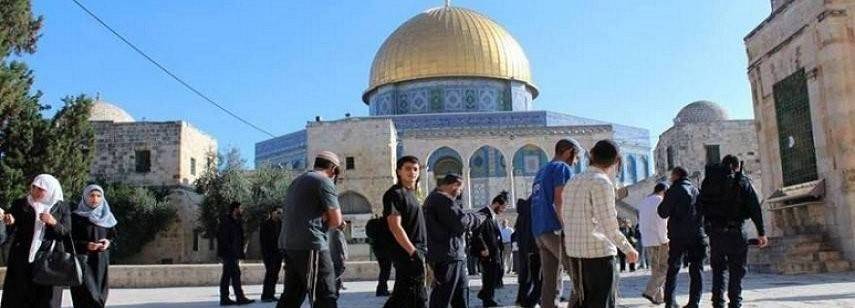 مستوطنون يقتحمون المسجد الأقصى بأعداد كبيرة