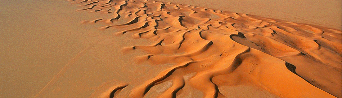 باعةُ السراب