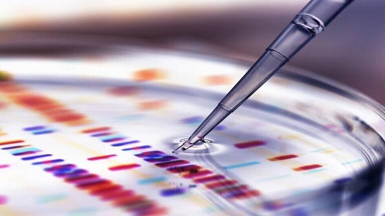 دراسة تكشف عن علاج واعد من شأنه عكس شيخوخة الدماغ والحماية من ألزهايمر