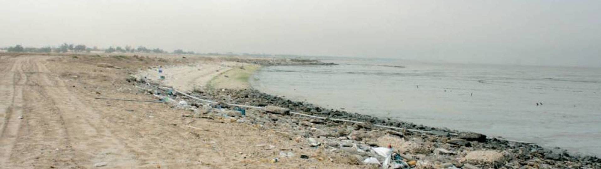 رفع كميات كبيرة من السجاد من قاع البحر في الكويت