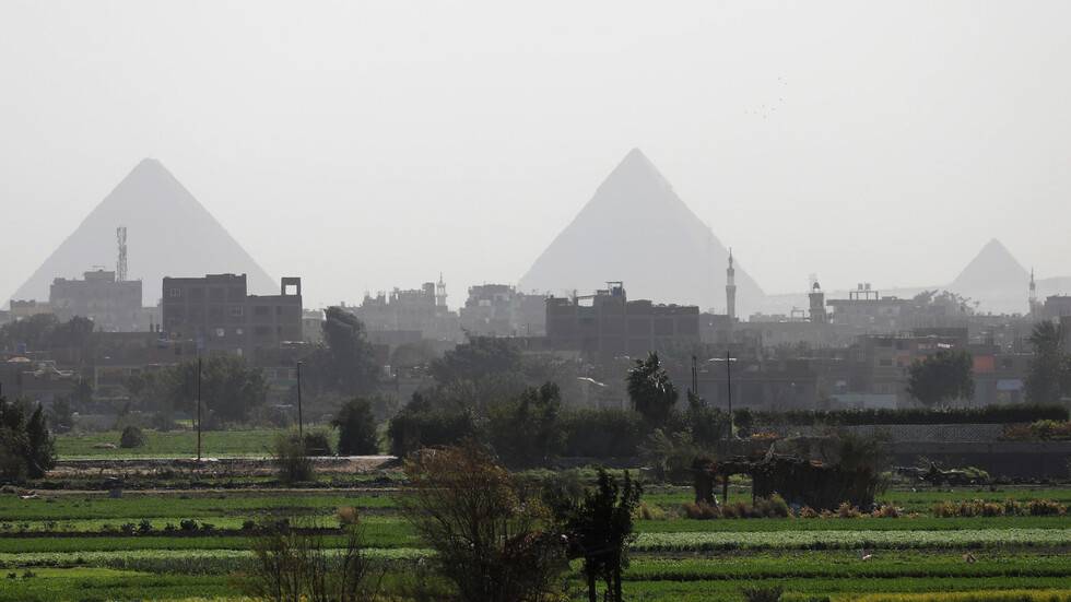 مصر تعلن ارتفاع صادراتها الزراعية