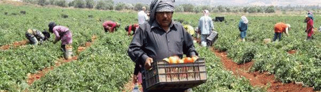 الأزمة تشتّد وتخنق المواطن وأطباق تقليدية اعتدناها ستغيب عن المائدة في شهر رمضان