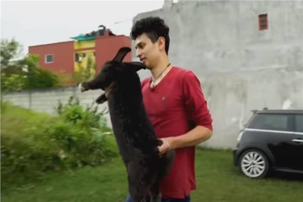 طالب بيطري يربّي أرانب عملاقة